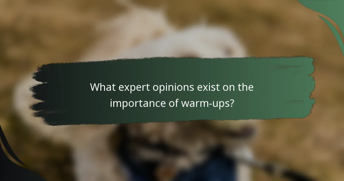 What expert opinions exist on the importance of warm-ups?